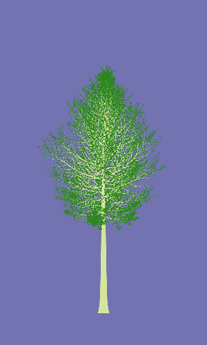 Treee
