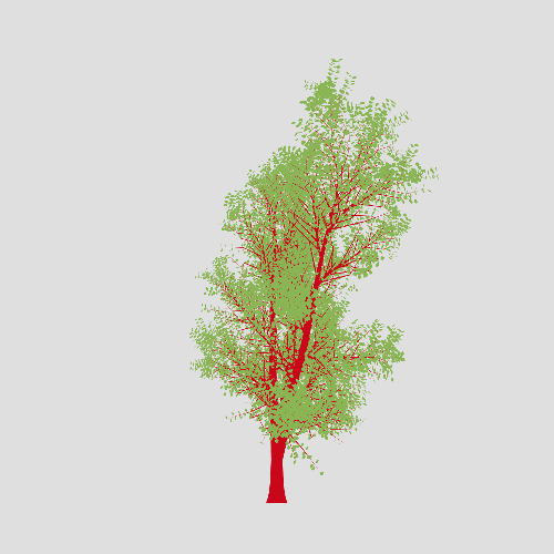 Treee