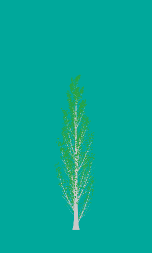 Treee