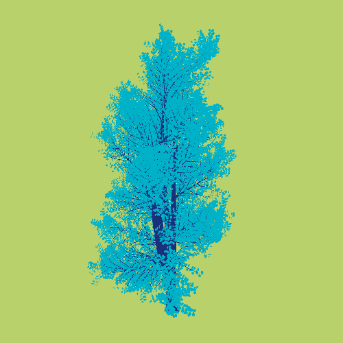 Treee
