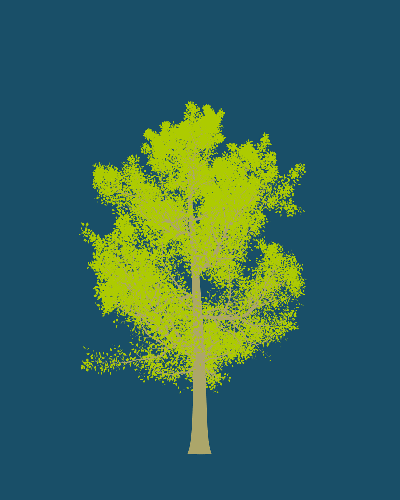 Treee
