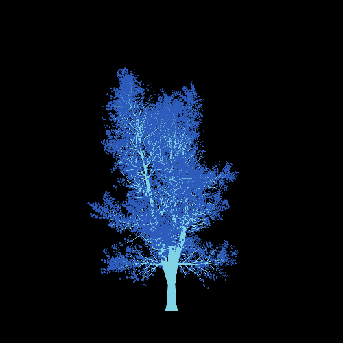 Treee