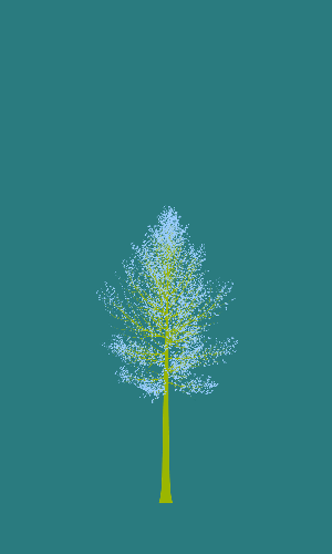 Treee