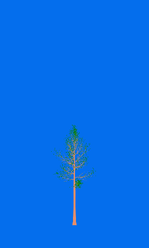 Treee