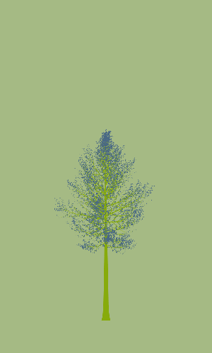 Treee