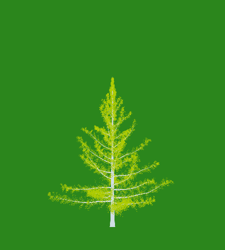 Treee
