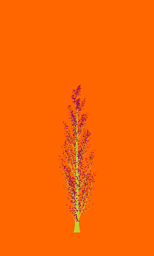 Treee