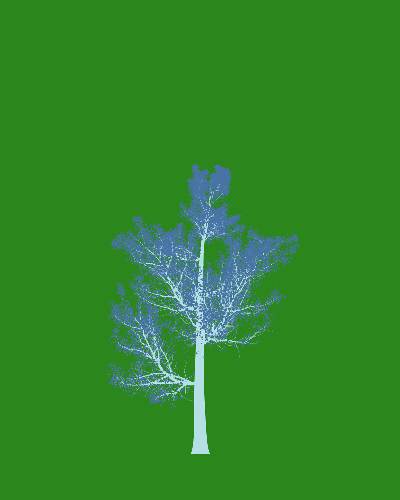 Treee
