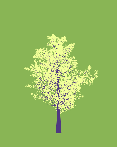 Treee