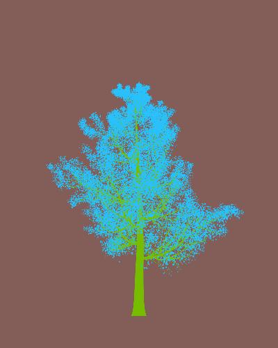 Treee