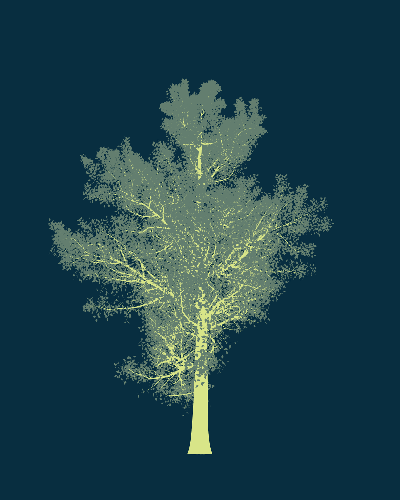 Treee