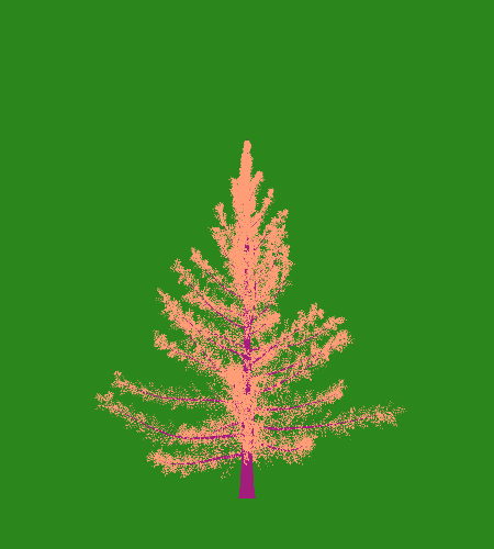 Treee