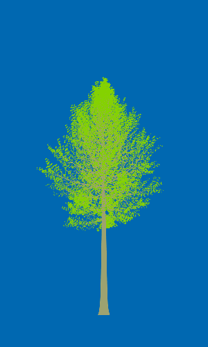 Treee
