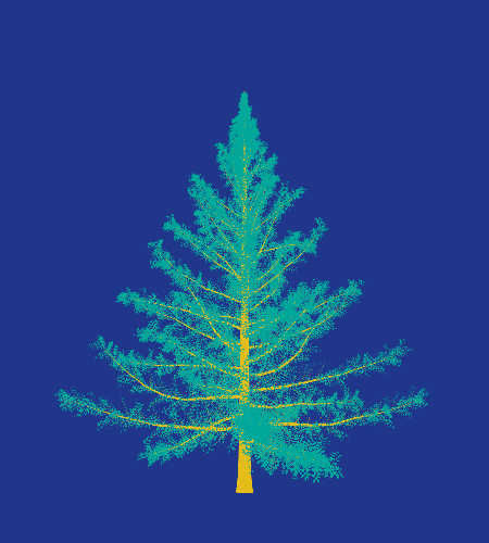Treee
