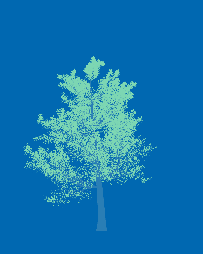 Treee
