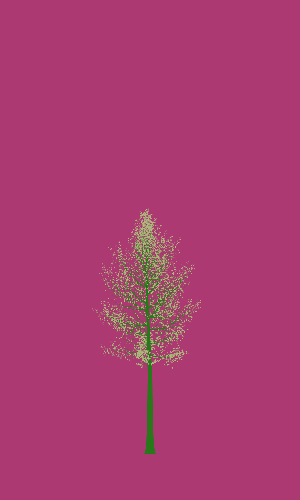 Treee