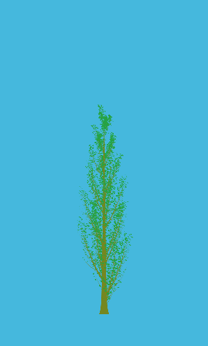 Treee