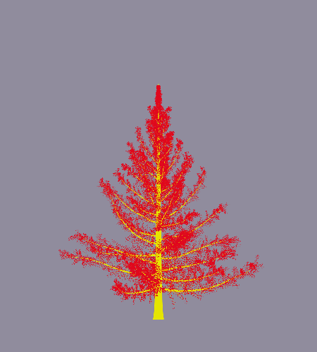 Treee