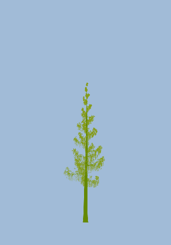 Treee
