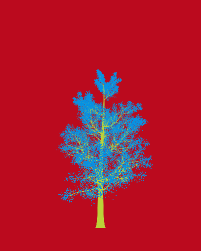 Treee