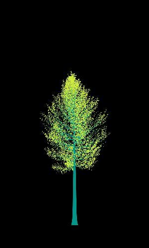 Treee