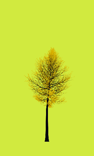 Treee