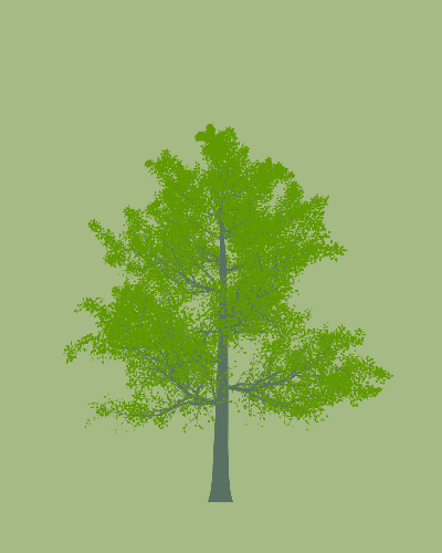 Treee