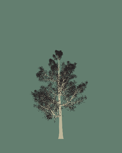 Treee