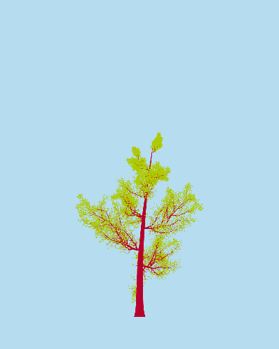Treee
