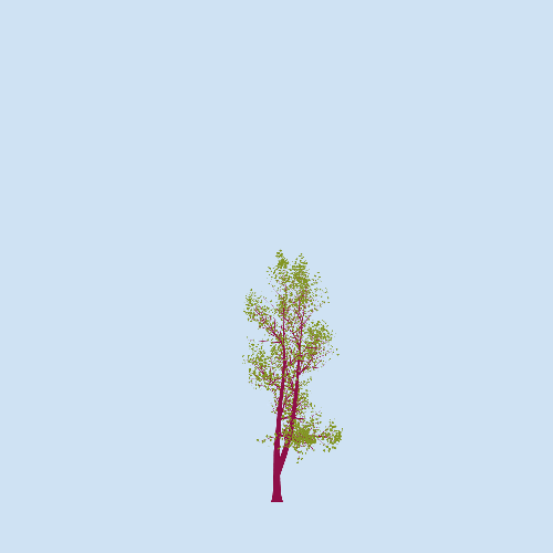Treee