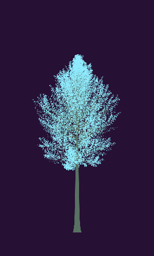 Treee