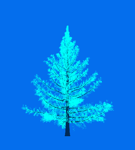 Treee