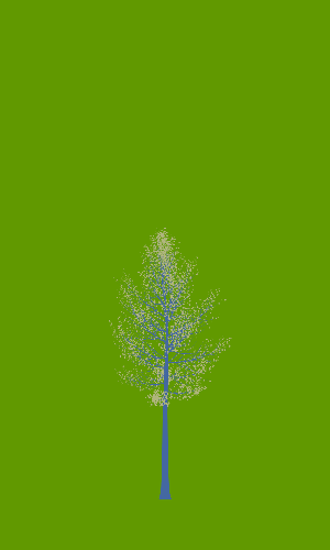 Treee