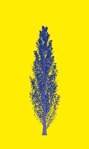 Treee