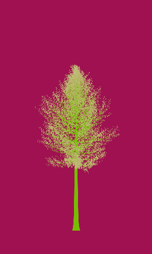Treee