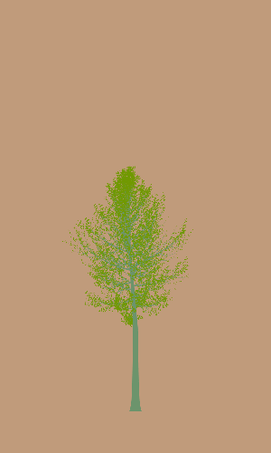 Treee