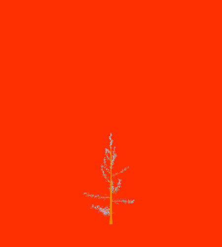 Treee