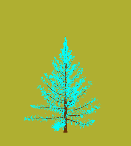 Treee