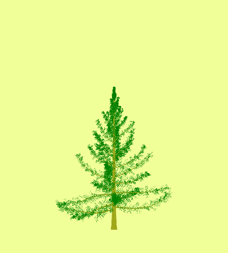 Treee