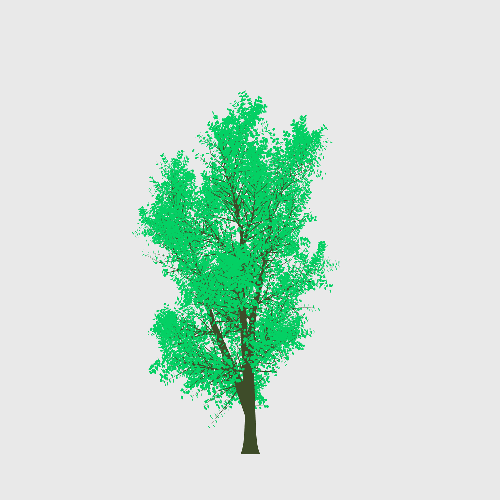 Treee