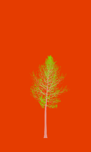 Treee
