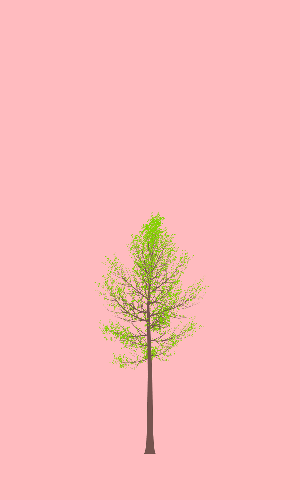 Treee