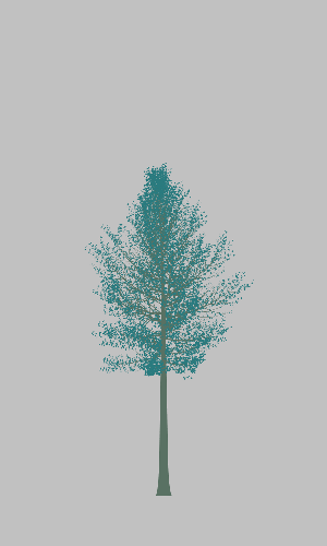 Treee