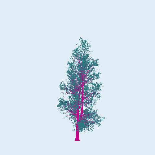 Treee