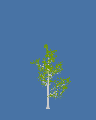 Treee
