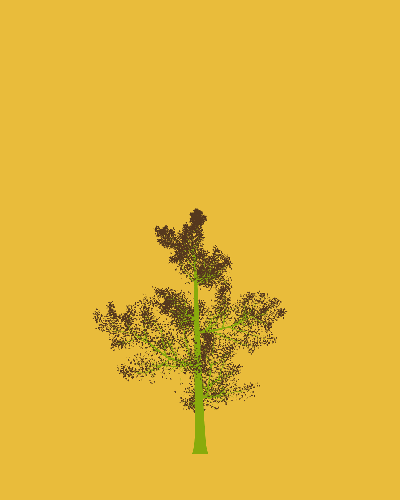 Treee