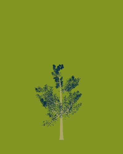 Treee