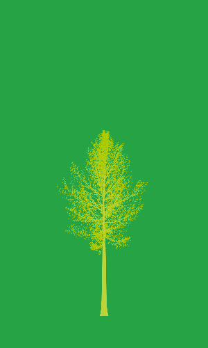 Treee