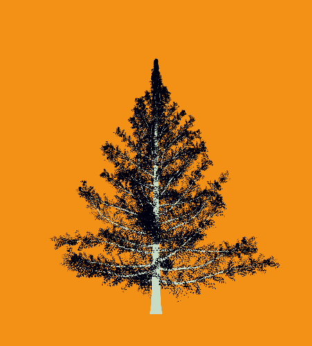 Treee
