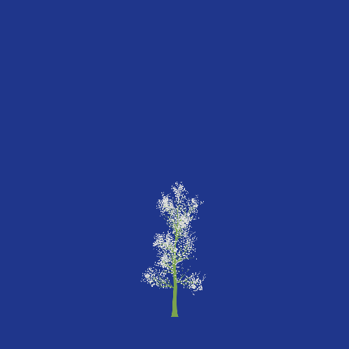 Treee